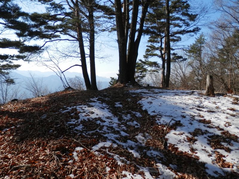 扇山 -- 犬目丸に到着