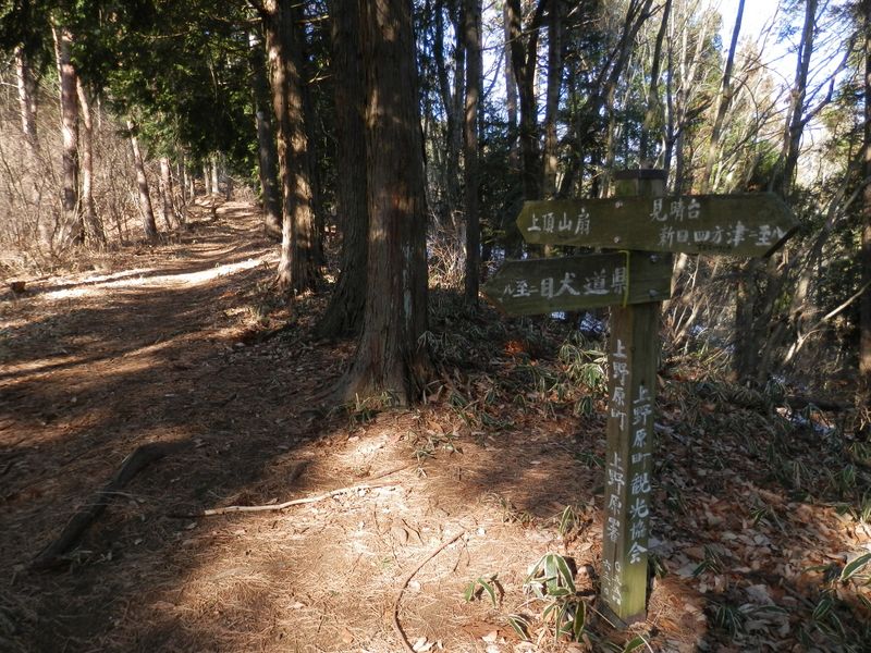 扇山 -- 犬目宿からのルートを合わせる
