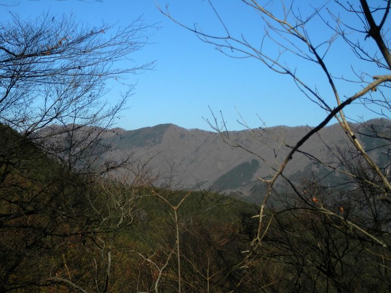 扇山 -- 権現尾根の麻生山、1252m峰、権現山を望む