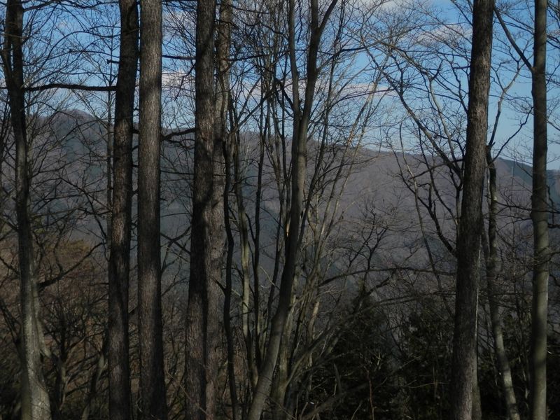 扇山 -- 右に雨降山