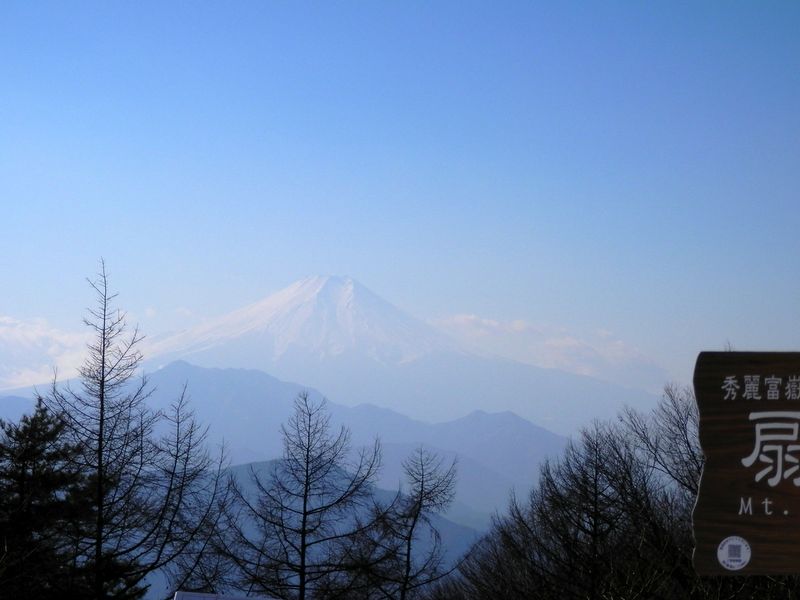 撮影するとこの通り