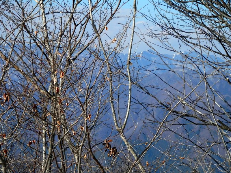 扇山 -- 大菩薩連嶺も隔靴掻痒の感