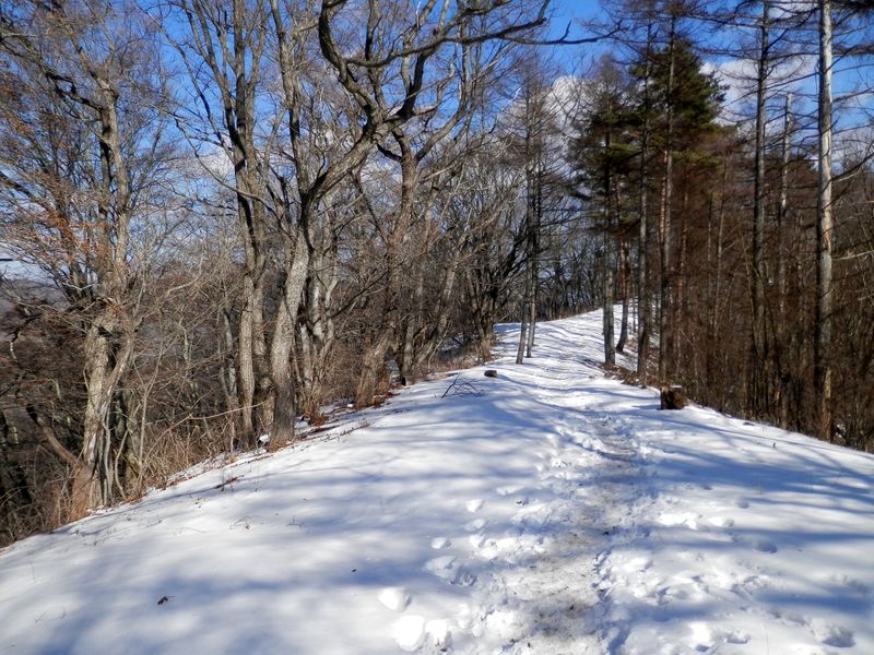扇山 -- 再び山頂方面を振り返る