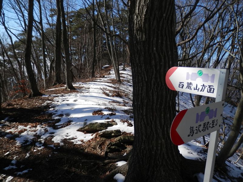扇山 -- この鞍部から鳥沢駅に下る