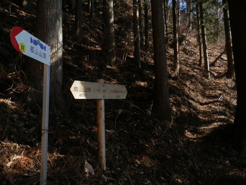 扇山 -- つつじ群生地への分岐にベンチがあり、富士山が見える