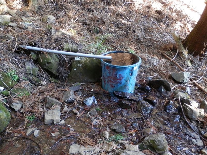 この水場で顔と手を洗い、喉を潤した