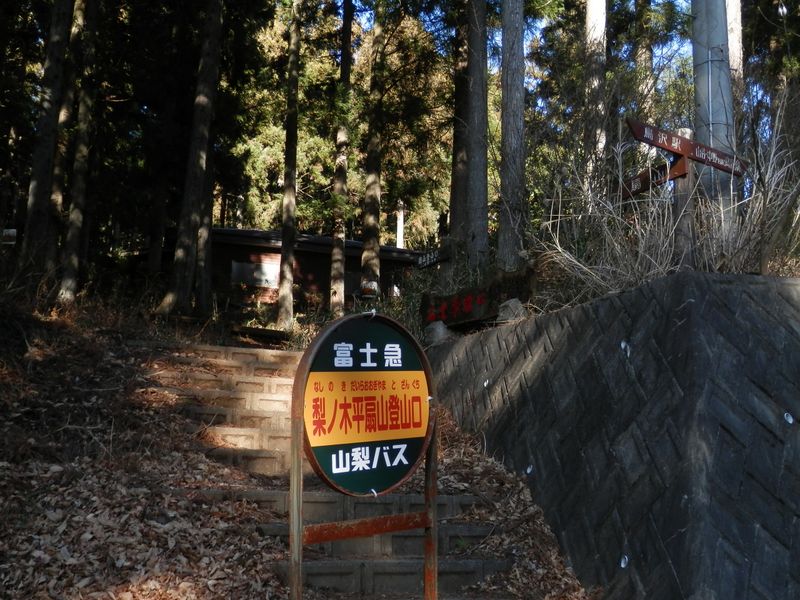 扇山 -- 梨ノ木平に到着。このバス停は降車専用