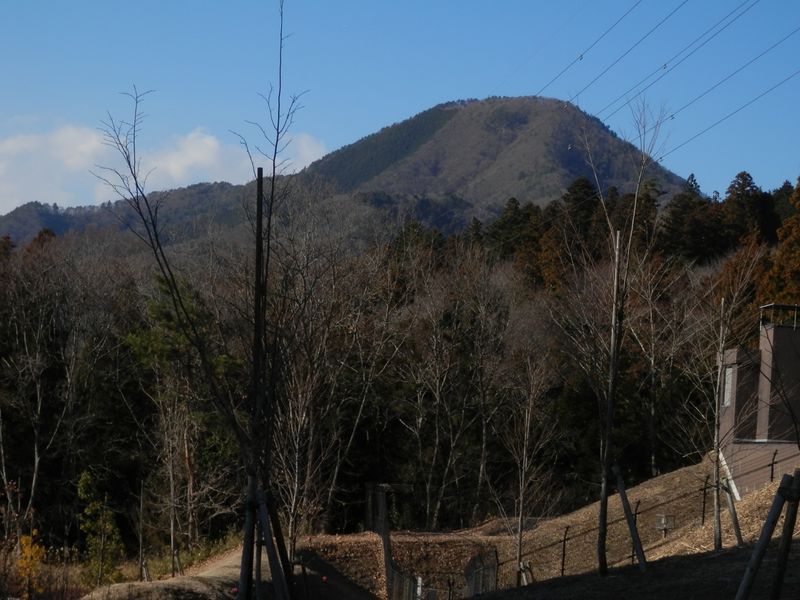 扇山 -- 百蔵山を望む