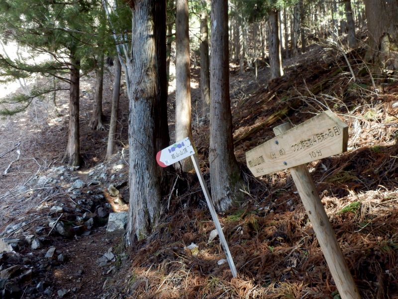 梨の木平からの登山道に合流