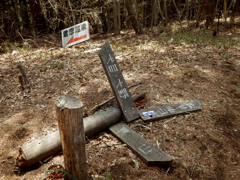 山谷ルート分岐