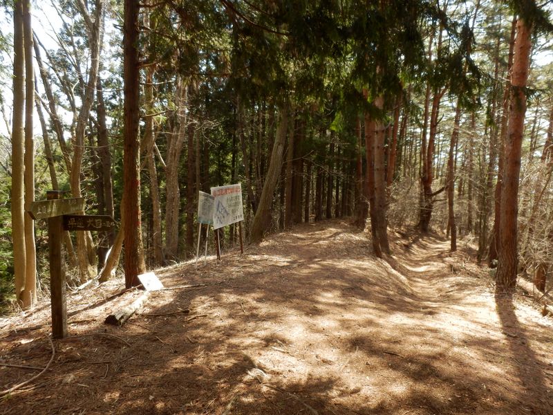 犬目ルート分岐