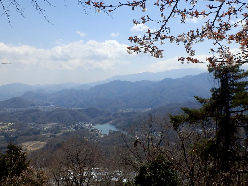 金比羅社の展望