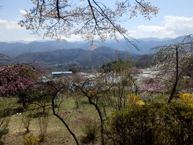 どこに座ろうかな