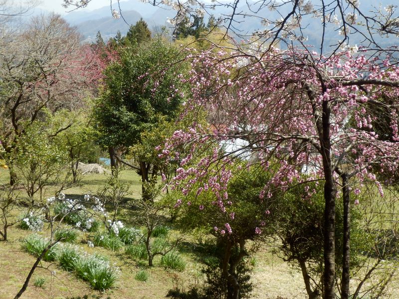 あのスノーフレークのところに座ろう