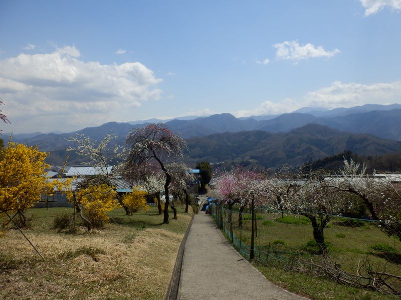 丹沢、秋山山稜、御前山など