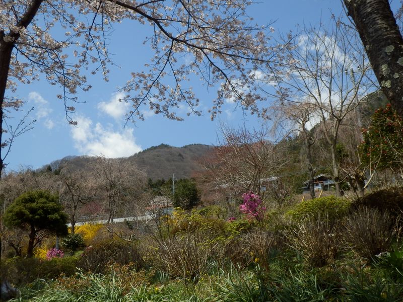 扇山はどれかな？