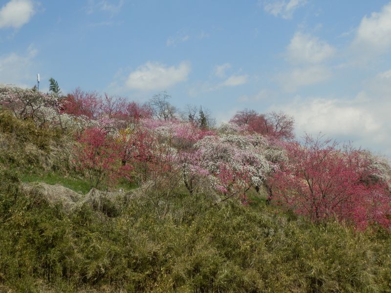 もう一度振り返る