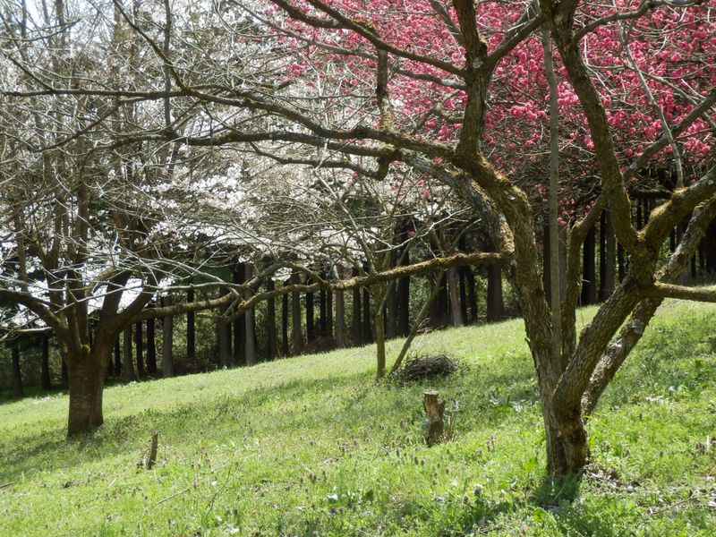 少し寝そべって