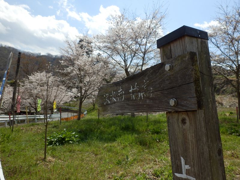 南米沢への分岐
