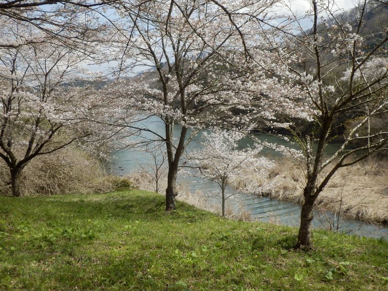 談合川が大野貯水池にそそぐ