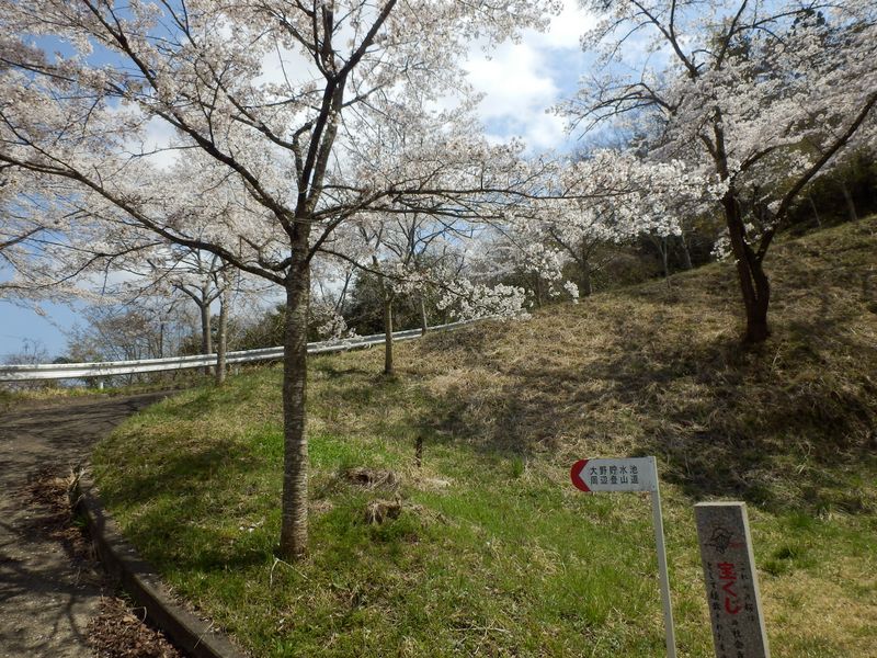 御春山にピストン