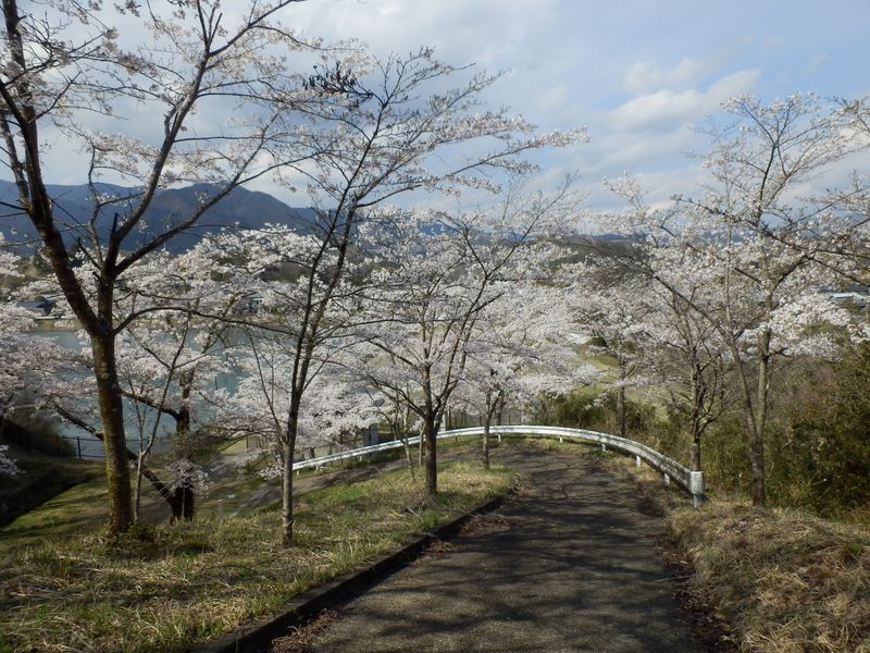 大野ダムに戻る