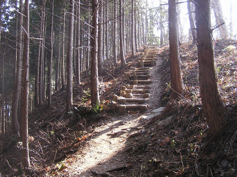 青梅丘陵 -- 明るい日差しに恵まれた