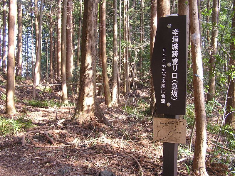 青梅丘陵 -- 辛垣城跡方向に進む