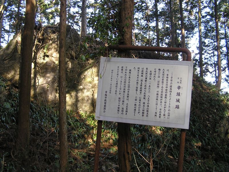 青梅丘陵 -- 辛垣城跡