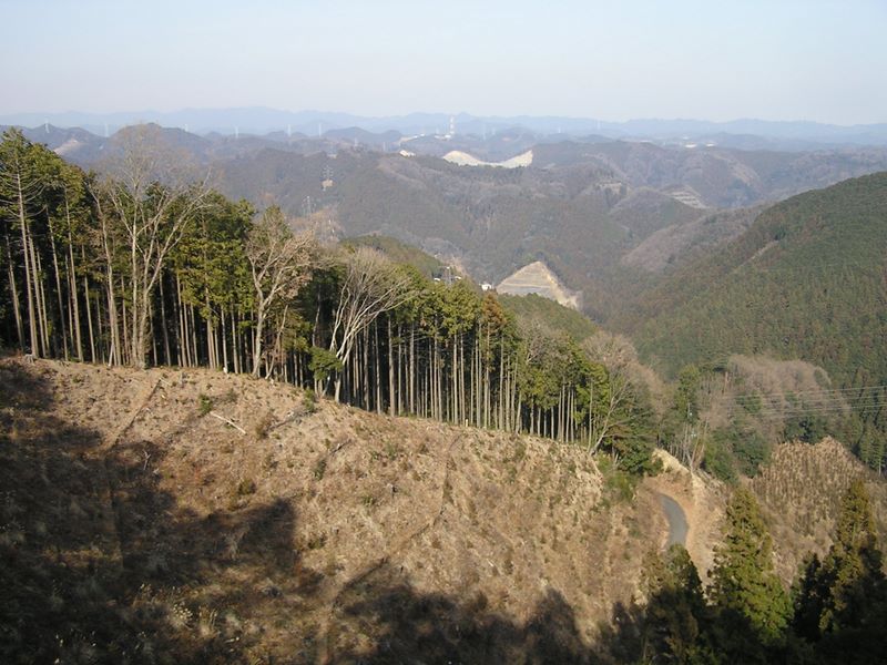 青梅丘陵 -- あちらこちらに採石場が