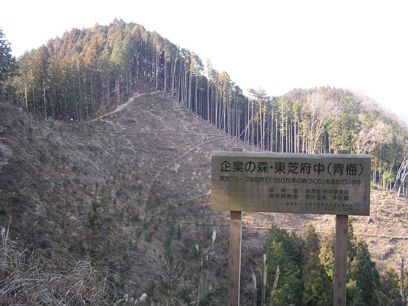 青梅丘陵 -- 後で調べると、左の峰が三方山らしい
