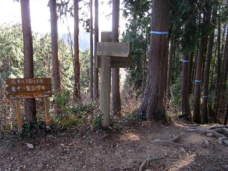 青梅丘陵 -- ここで右折して、青いテープの方に進む