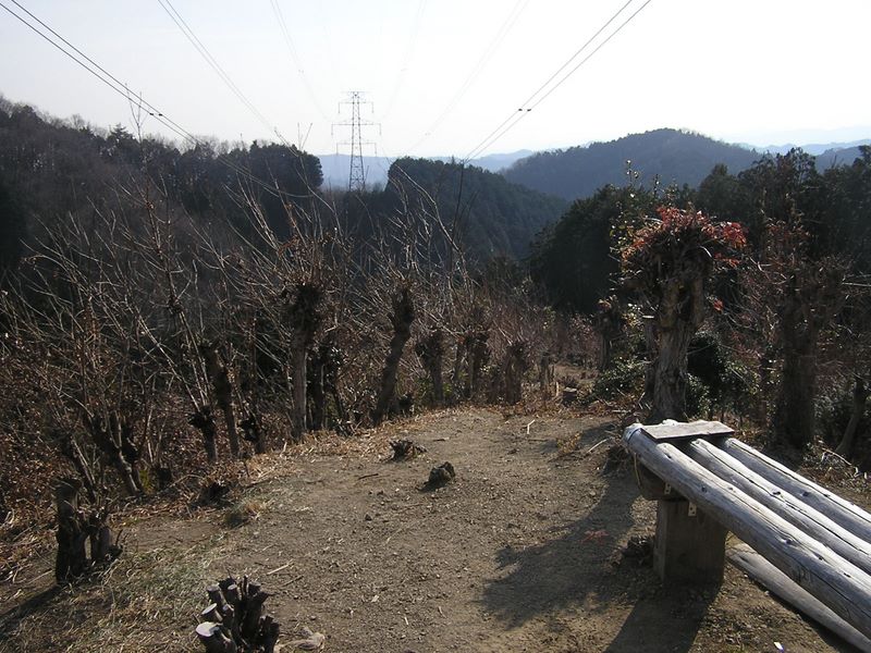 青梅丘陵 -- この日当たりのよい休憩所は、送電線の真下