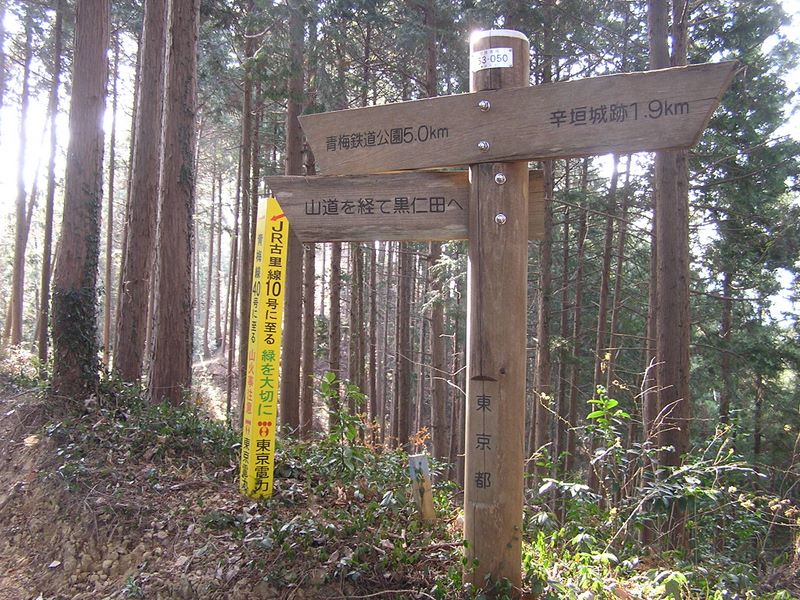 青梅丘陵 -- 黒仁田への分岐