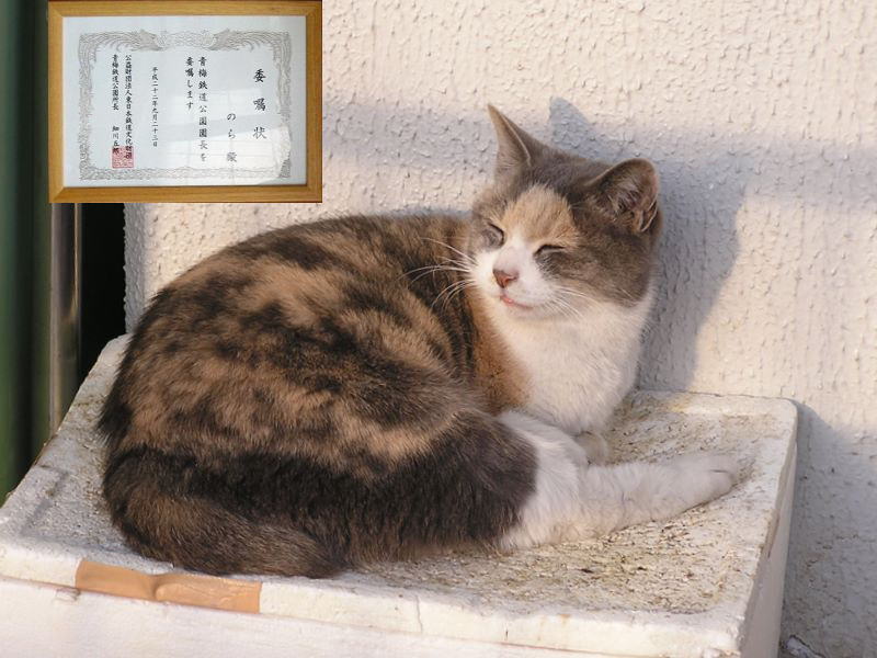 青梅丘陵 -- 青梅鉄道公園の「のら園長」