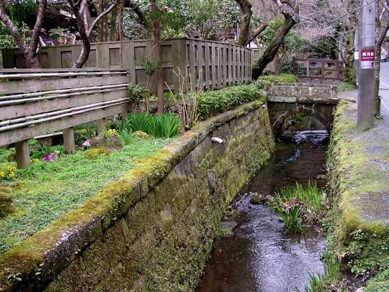 六国見山 -- 明月川に沿って歩く