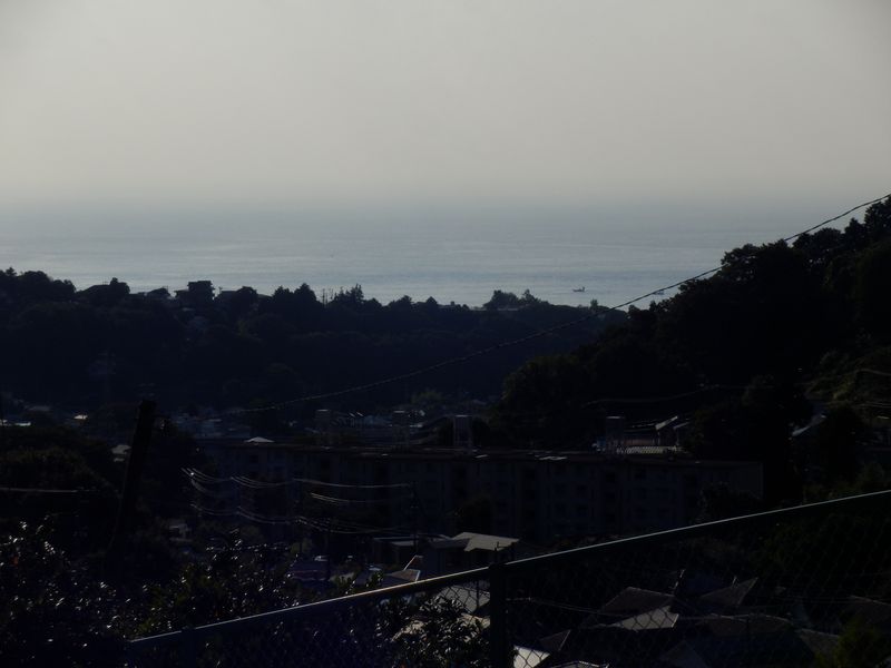 相模湾がすぐそこに