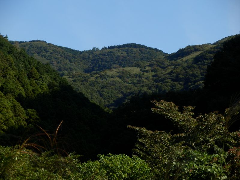 遠方の稜線を望む