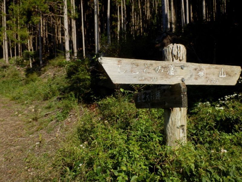 土肥大杉跡の方向へ