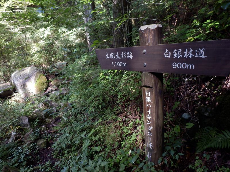 白銀ハイキングコースと別れる