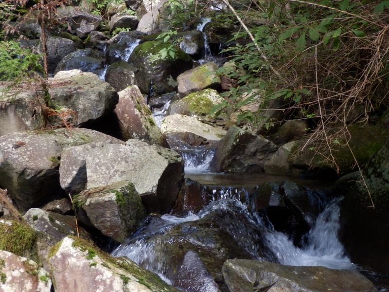 滑りやすい岩がゴロゴロ