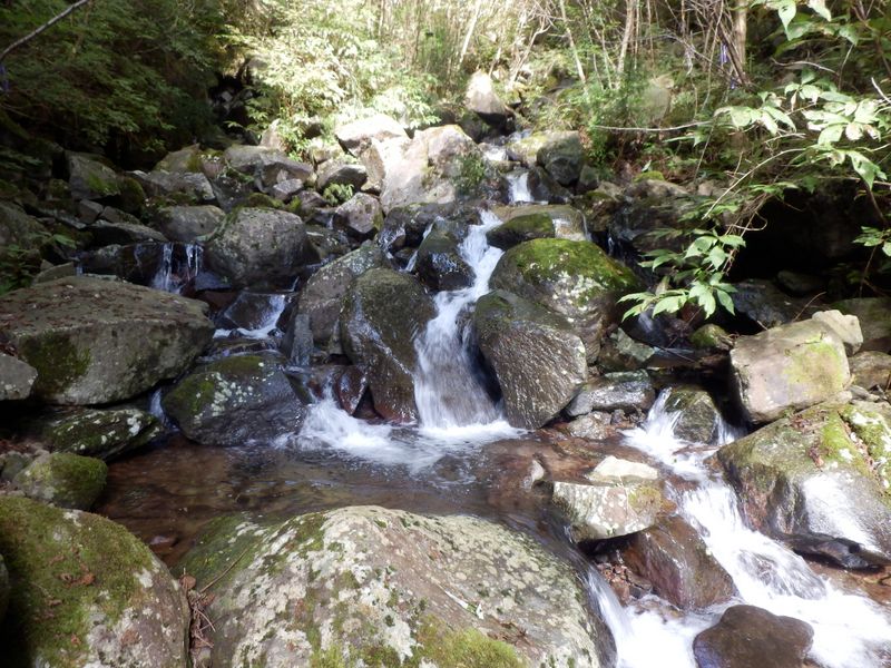 慎重に、岩から岩へと移動