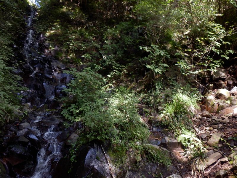 お助けのロープ