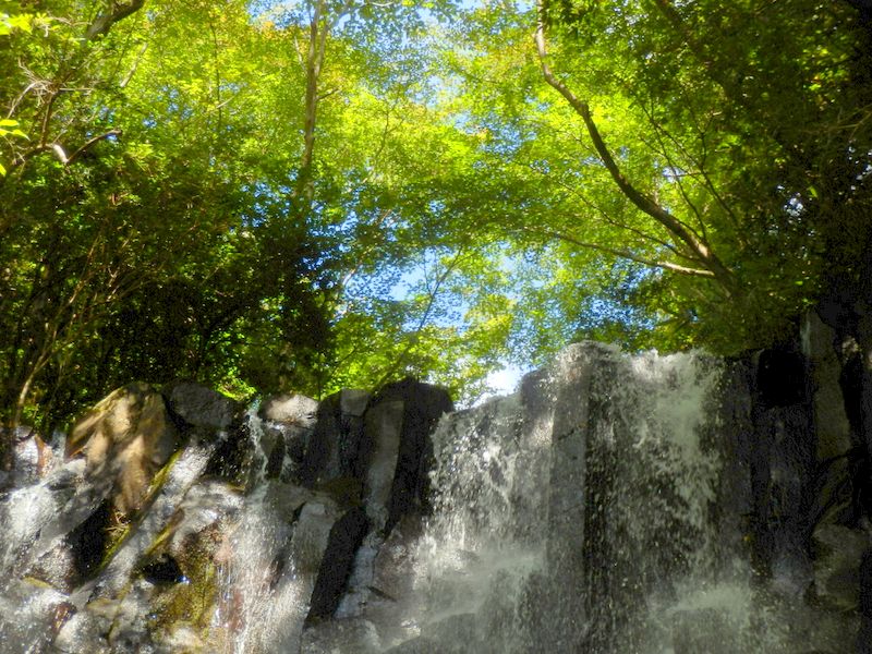 ダムのバットレスみたいな柱状節理