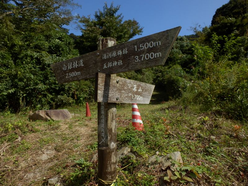 ここから幕山に行く