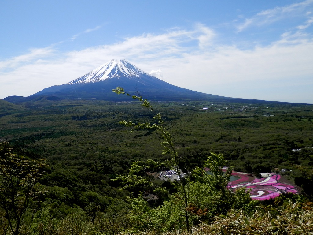 竜ヶ岳 -- 富士山を望む