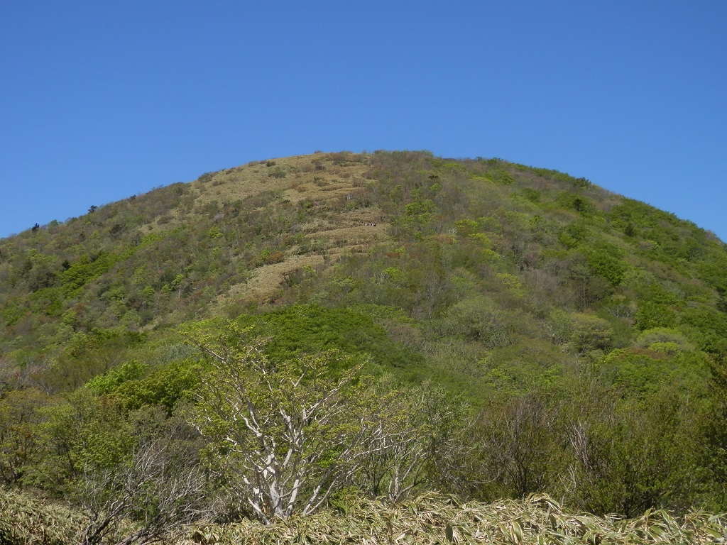 竜ヶ岳のジグザグ登山道