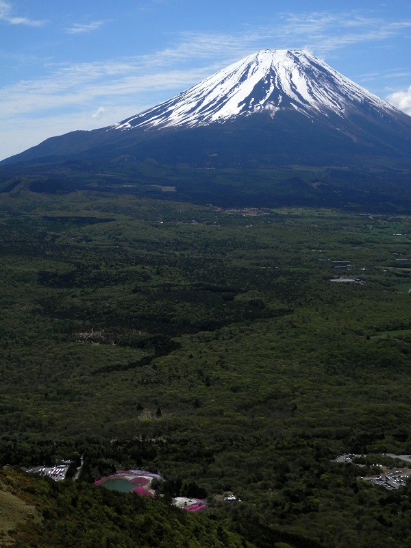 縦フレームでもワンショット