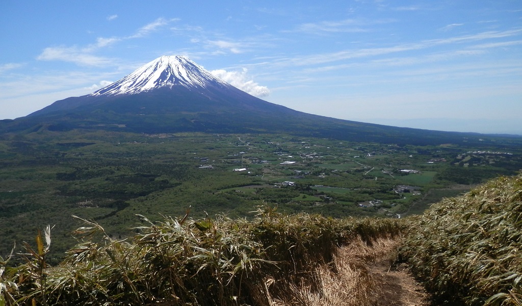竜ヶ岳 -- こんな道をジグザグに登って行く