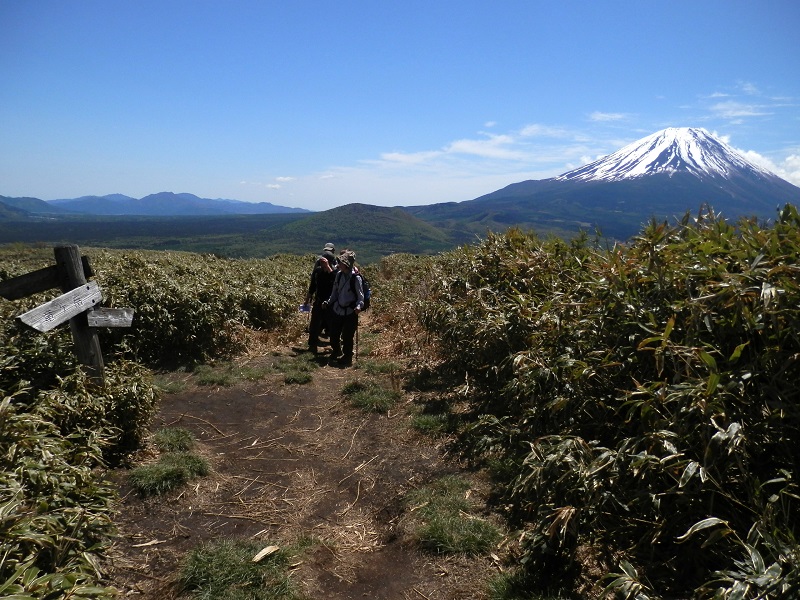 竜ヶ岳 -- 北面からの登山道を合わせる